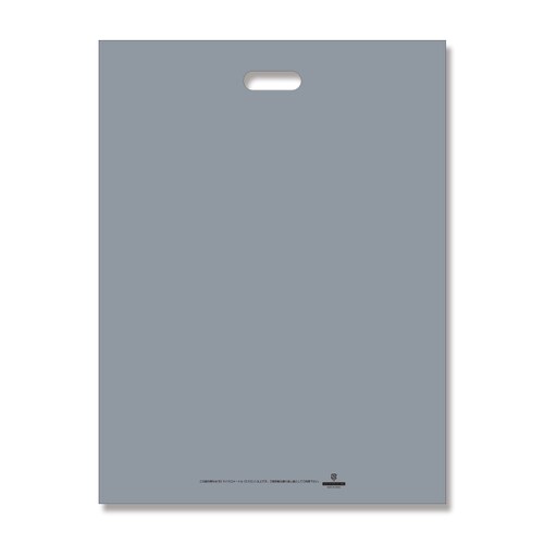 LDカラーポリ45−60シルバー表記入10セット