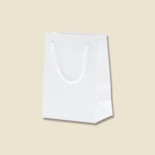 ブライトバッグ T−4 白 5セット