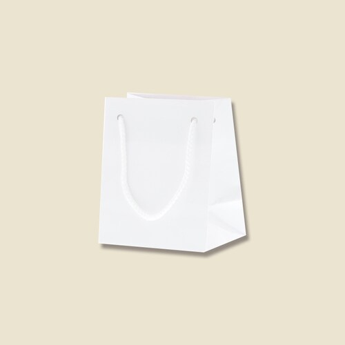 ブライトバッグ T−5 白 5セット