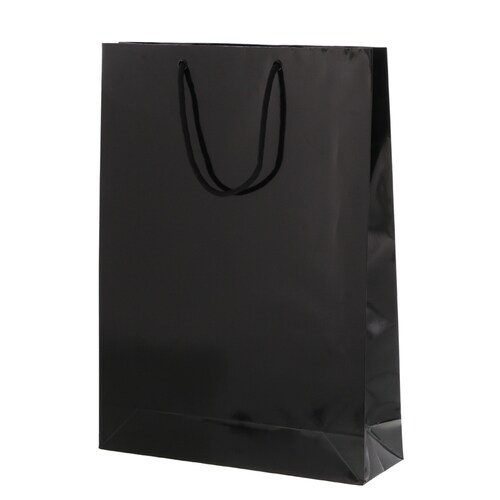 ブライトバッグ G2 黒 5セット