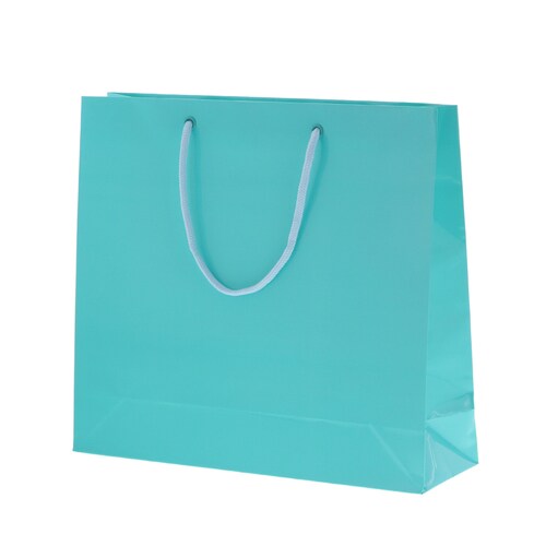 ブライトバッグ GM アサギ 5セット