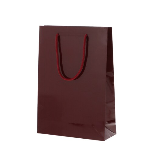 ブライトバッグ SWT エンジ 5セット