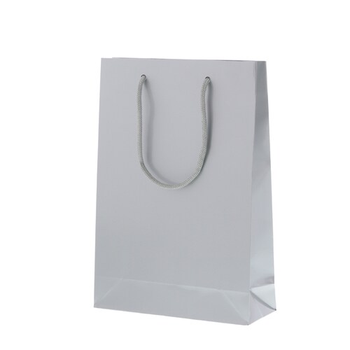 ブライトバッグ SWT 銀 5セット