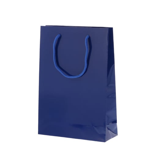 ブライトバッグ SWT 紺 5セット