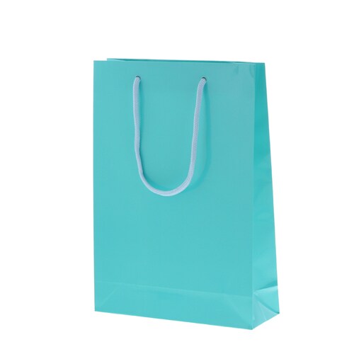 ブライトバッグ SWT アサギ 5セット