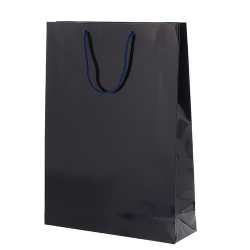 ブライトバッグ G2 紫紺 5セット