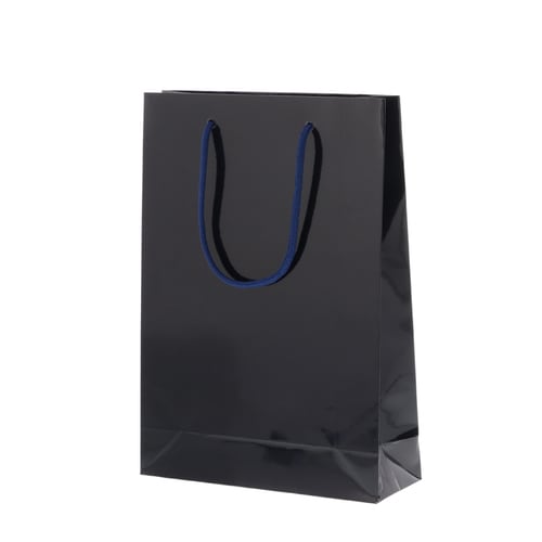 ブライトバッグ SWT 紫紺 5セット