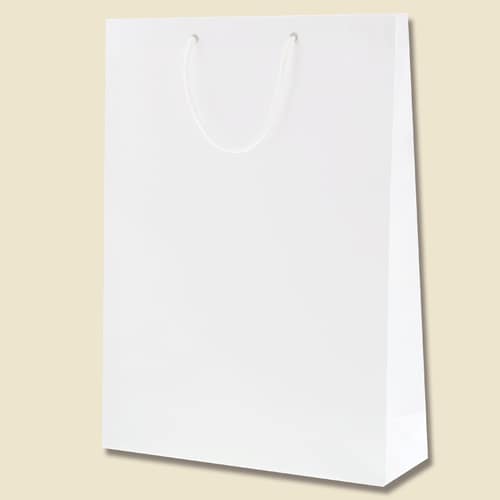 ブライトバッグ KA 白 5セット