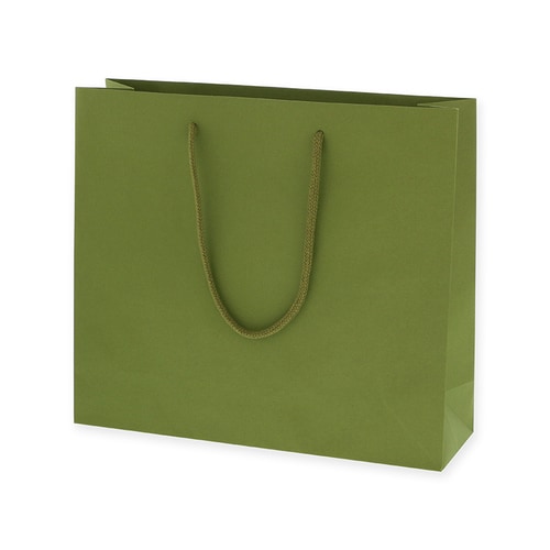 プレーンCB 3才 ヒワ 10セット