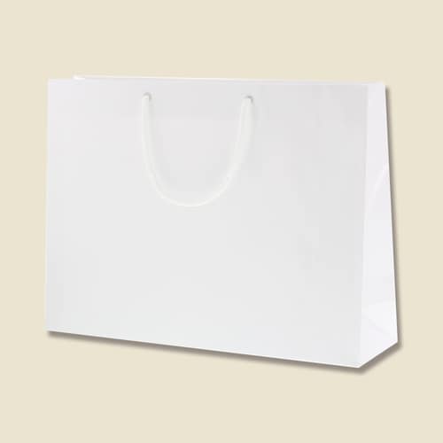 ブライトバッグ Y2 白 5セット