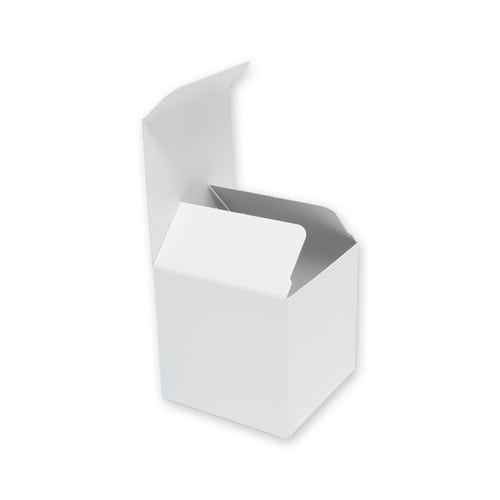 白無地箱 H−77 サック式 10セット