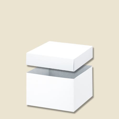 バラエティBOX 0−22−70 5セット