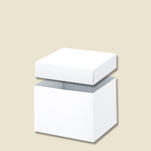 バラエティBOX 0−22−120 5セット