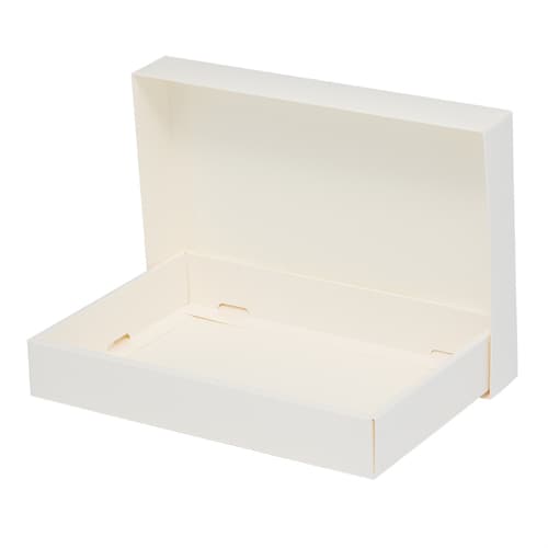 ソフィアBOX SO−010 10セット