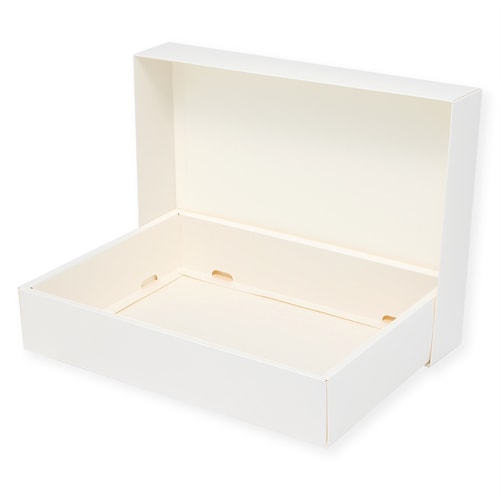 ソフィアBOX SO−018 10セット