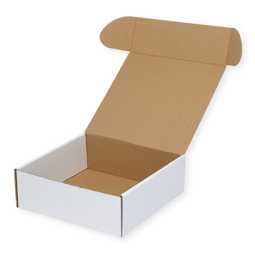 フリーBOX F−19 5セット