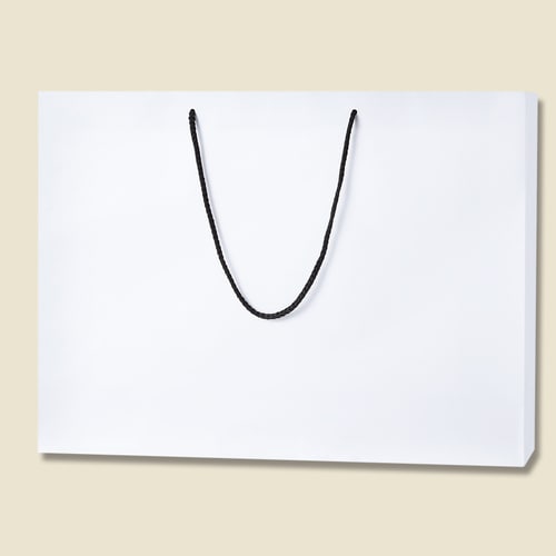 ブライトバッグ 55−15 白(MT) 5セット