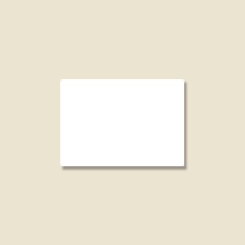 ラベルDU0220 シロ ジャクネン 10セット