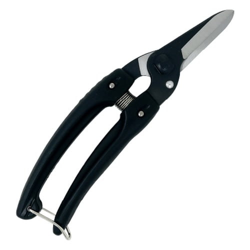 ファミリーブラック(黒)