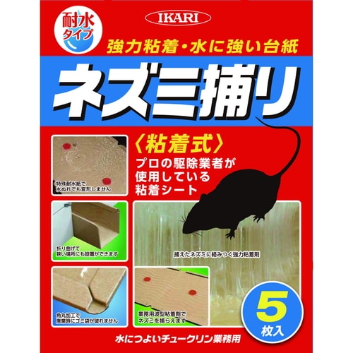 水につよいチュークリン業務用 5枚入