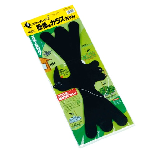 恐怖のカラスちゃん