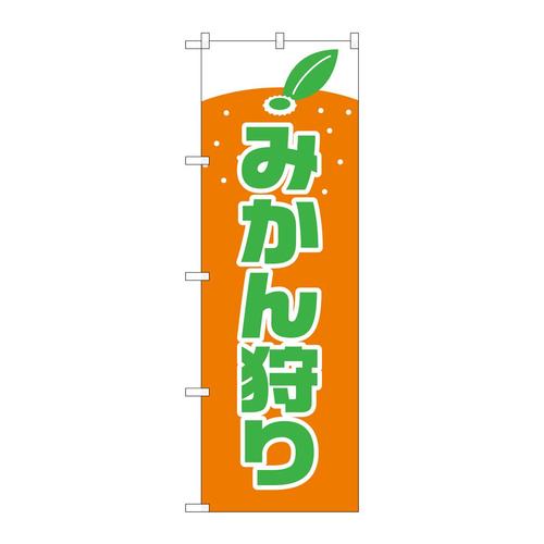 のぼり2236みかん狩り