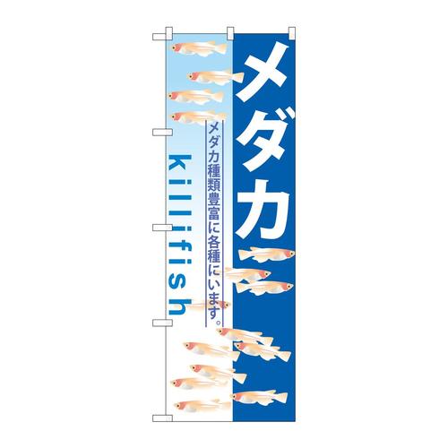 のぼりGNB−571メダカ