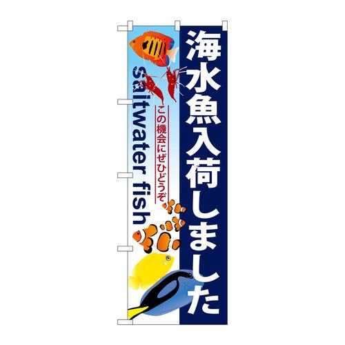 のぼりGNB−572海水魚入荷しました