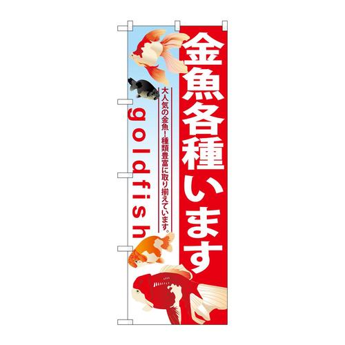 のぼりGNB−581金魚各種います