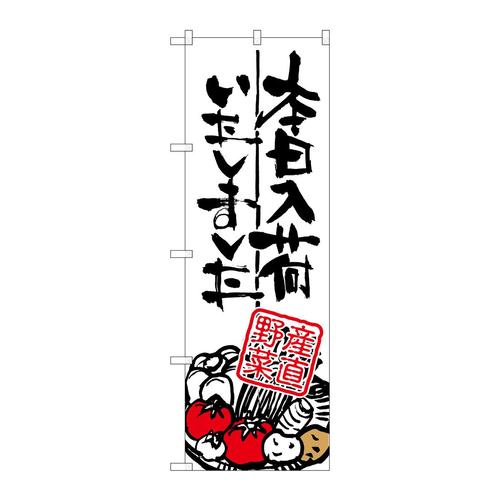 のぼりSNB−986本日入荷産直野