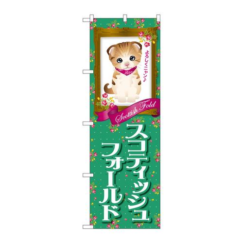 のぼりGNB−2444スコティッシュフォールド