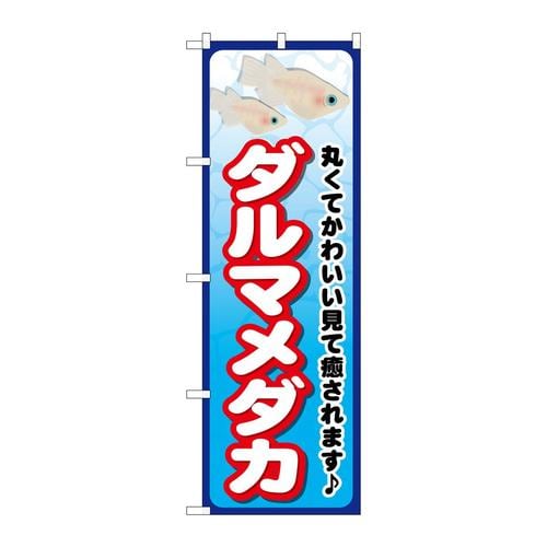 のぼりGNB−2449ダルマメダカ