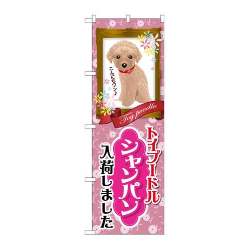 のぼりGNB−2458トイプードルシャンパン入荷
