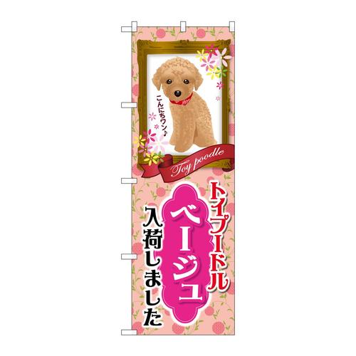 のぼりGNB−2464トイプードルベージュ入荷