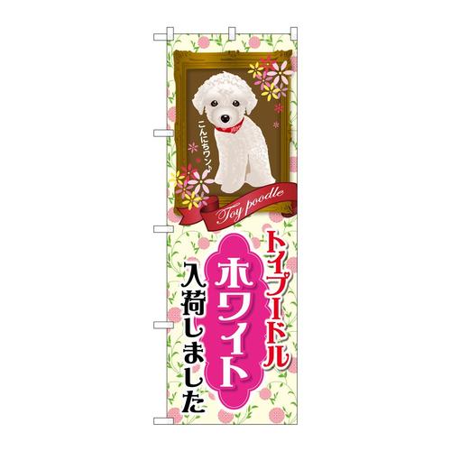 のぼりGNB−2465トイプードルホワイト入荷