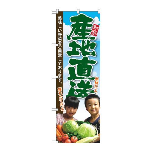 のぼりSNB−2205産地直送子供写真