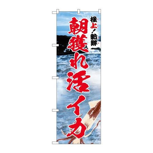 のぼりSNB−5322朝獲れ活イカ極上