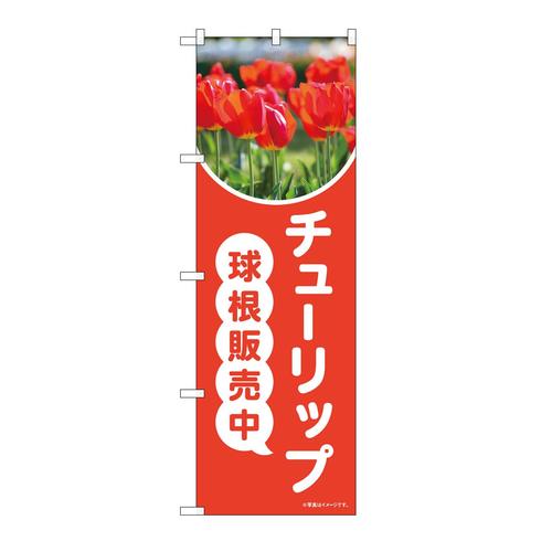 のぼり84232チューリップ球根販売中OTM