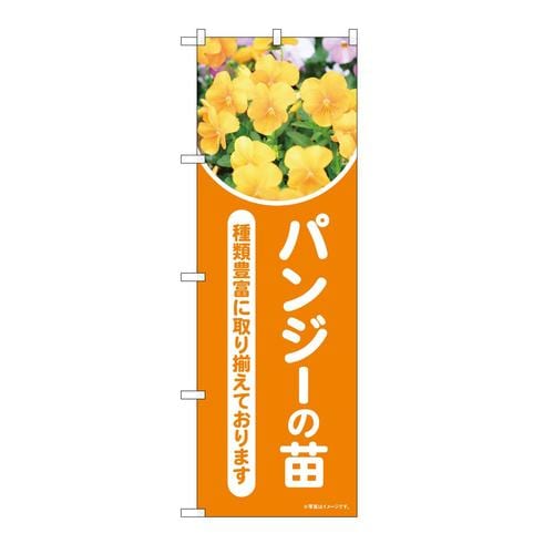 のぼり84234パンジーの苗写真OTM