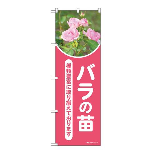 のぼり84236バラの苗写真OTM