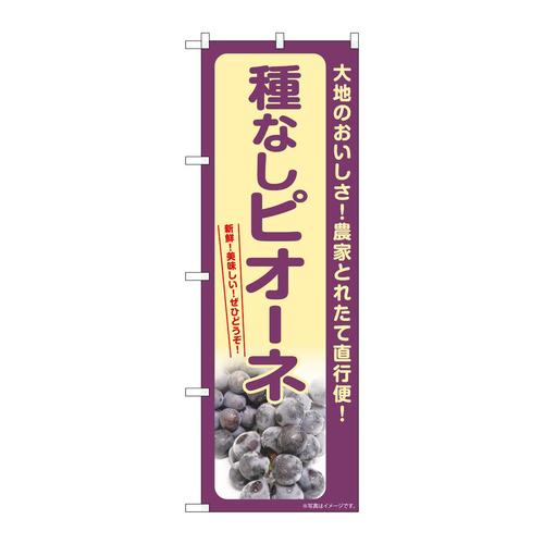 のぼりSNB−7181種なしピオーネ