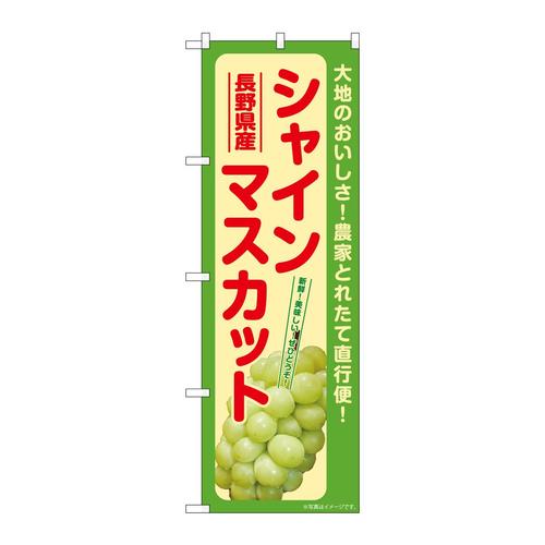 のぼりSNB−7189シャインマスカット長野県産