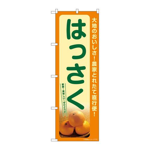 のぼりSNB−7244はっさく