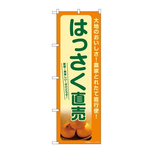 のぼりSNB−7245はっさく直売