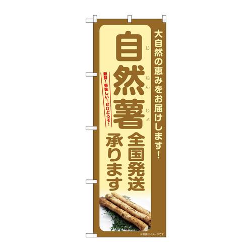 のぼりSNB−7299自然薯全国発送承りま