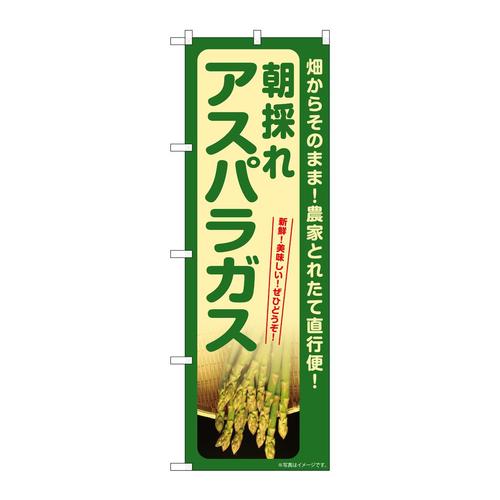 のぼりSNB−7397アスパラガス朝採れ