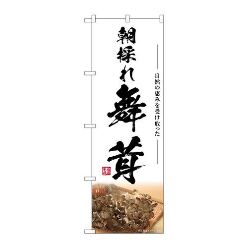 のぼりSNB−7449舞茸朝採れ