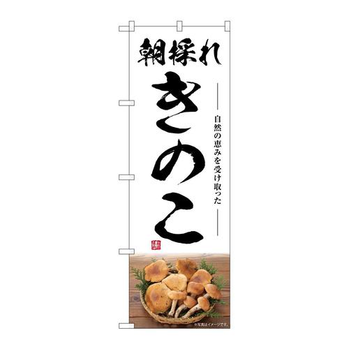 のぼりSNB−7485きのこ朝採れ