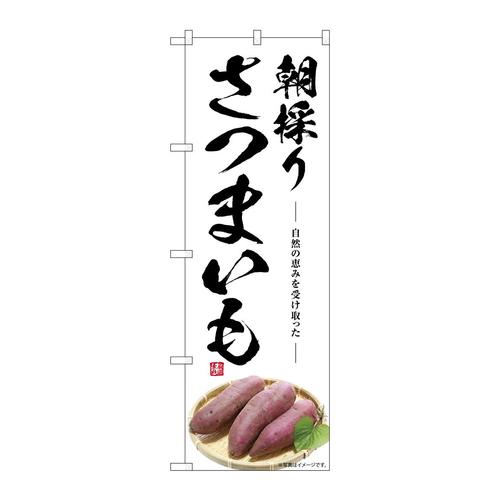 のぼりSNB−7538さつまいも朝採り