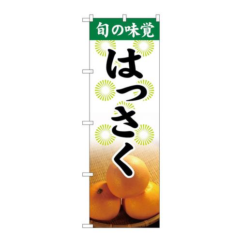 のぼりSNB−9701旬の味覚はっさく
